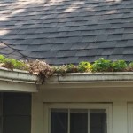 gutter cleaning milwaukee