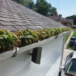 gutter cleaning pros milwaukee