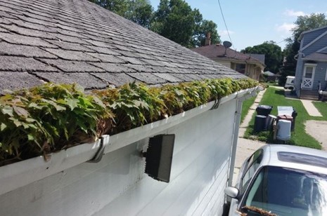 gutter cleaning pros milwaukee