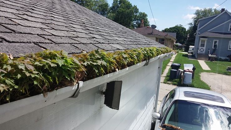 Gutter Cleaning - Ozaukee County
