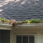 Gutter Cleaning Cedarburg