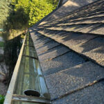 Best gutter cleaning company