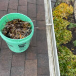 Best gutter cleaning near me