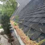 Clean my gutters