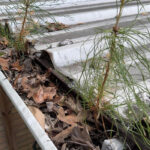Gutter cleaning service